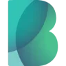 Bigbank logo