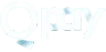QPay