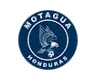 TENGO logo