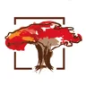 TMB cards logo